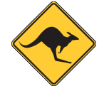 Mareeba Skippycoin ICG Mareeba Skippycoin ICG