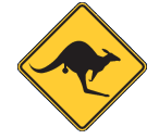 Mareeba Skippycoin ICG Mareeba Skippycoin ICG